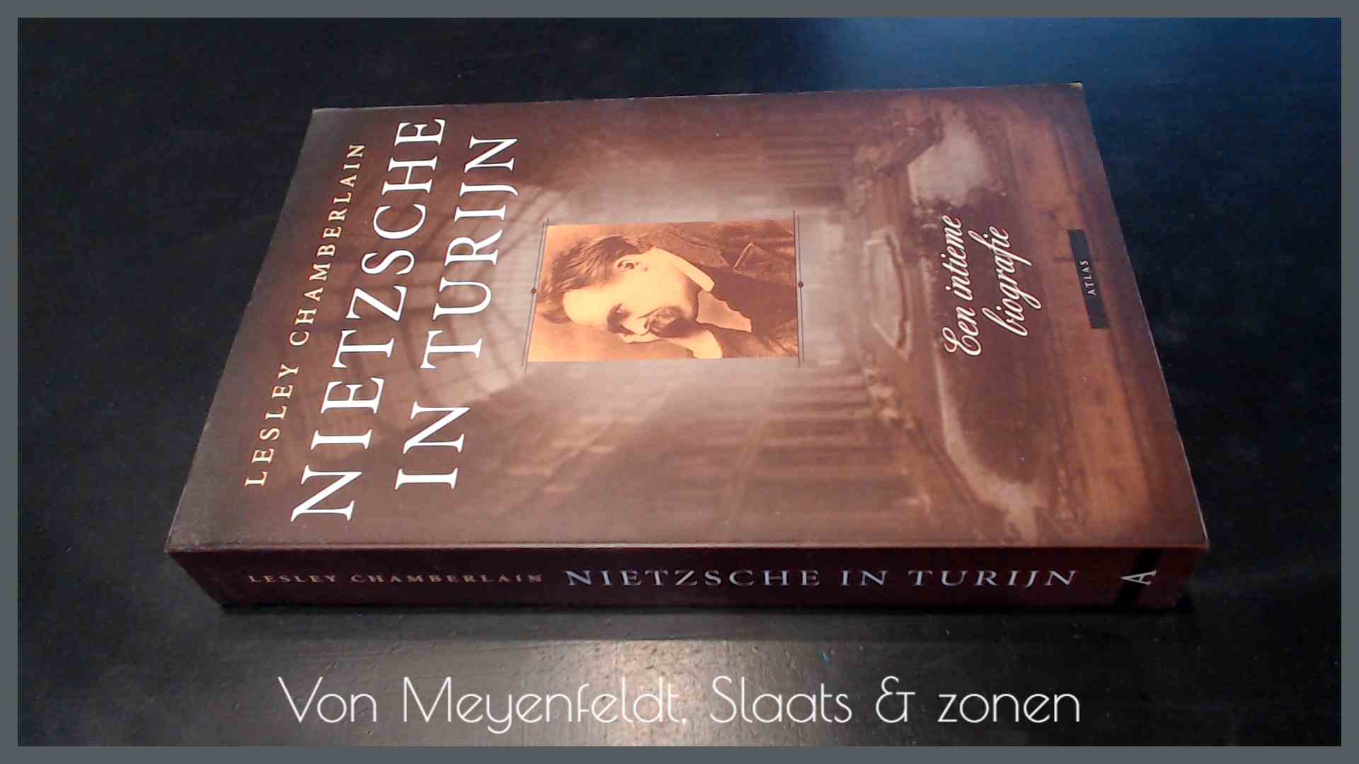 CHAMBERLAIN, LESLY - Nietzsche in Turijn - Een intieme biografie